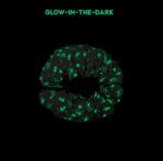 playandgo Space Glow In The Dark Toy Storage Bag in Cyprus