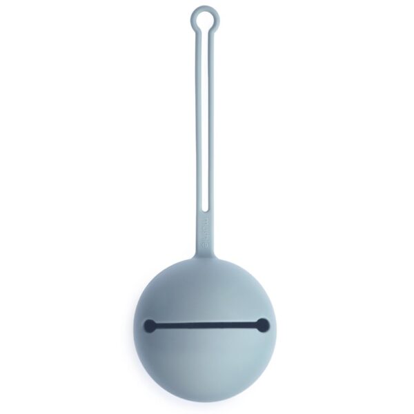 PowderBlue Pacifier Case