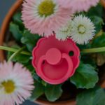 Daisy - Round Silicone 2-Pack Pacifiers - Baby Pink/Soft lila - Image 3